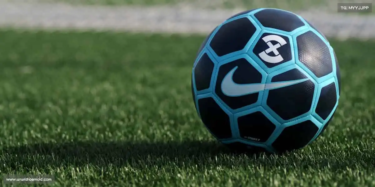 行业领先的理由